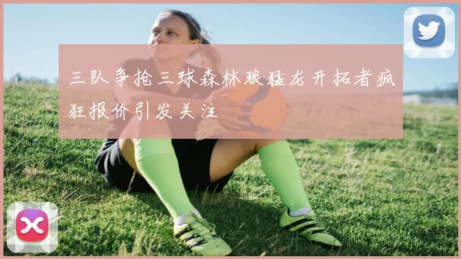 三队争抢三球森林狼猛龙开拓者疯狂报价引发关注